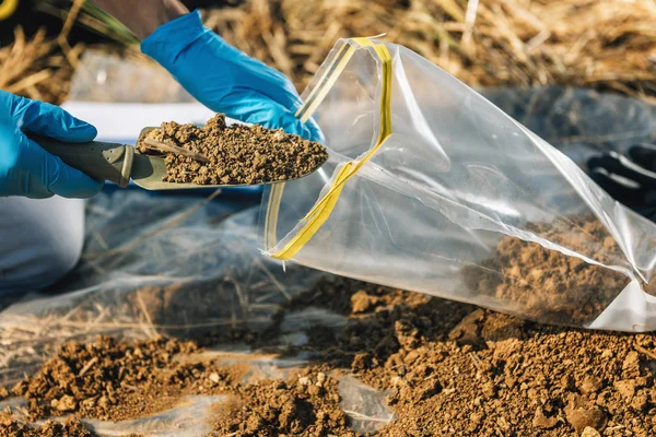土壤测试 农艺师将带有花园铲子的土壤放入室外土壤样品袋中 环境研究 — 图库照片