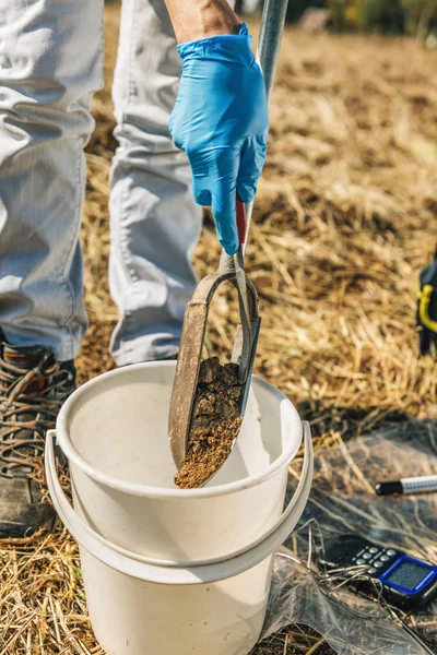 Campionamento Del Suolo Agronomo Femmina Che Preleva Campioni Con Campionatore — Foto Stock