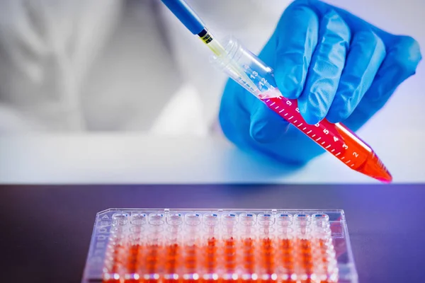 Biotechnology Engineer Inspecting Cell Culture Flask — Stock Photo, Image