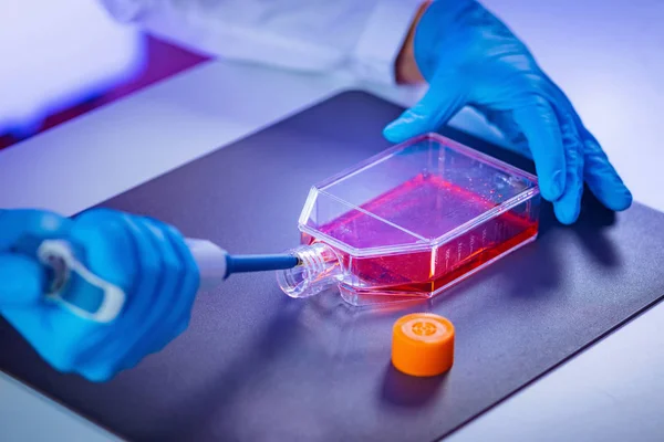 Biotechnology Engineer Inspecting Cell Culture Flask — Stock Photo, Image