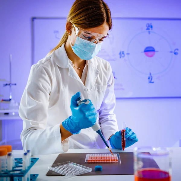 Biology Laboratory Scientist Working Cell Culture — Stock Photo, Image