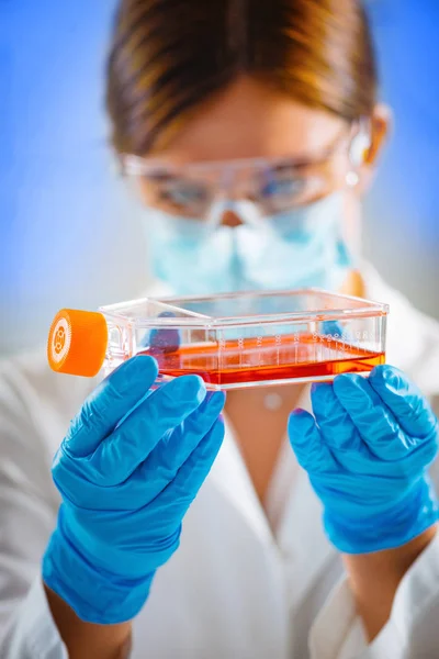 Biotechnology Engineer Inspecting Cell Culture Flask — Stock Photo, Image