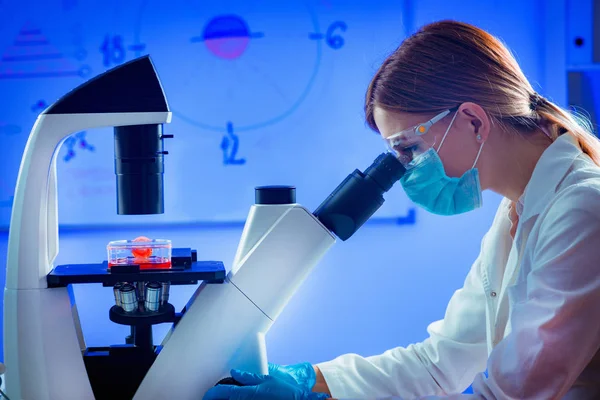 Biology Researcher Looking Microscope — Stock Photo, Image