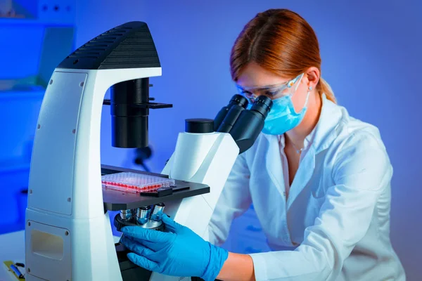 Stem Cell Researcher Working Laboratory — Stock Photo, Image