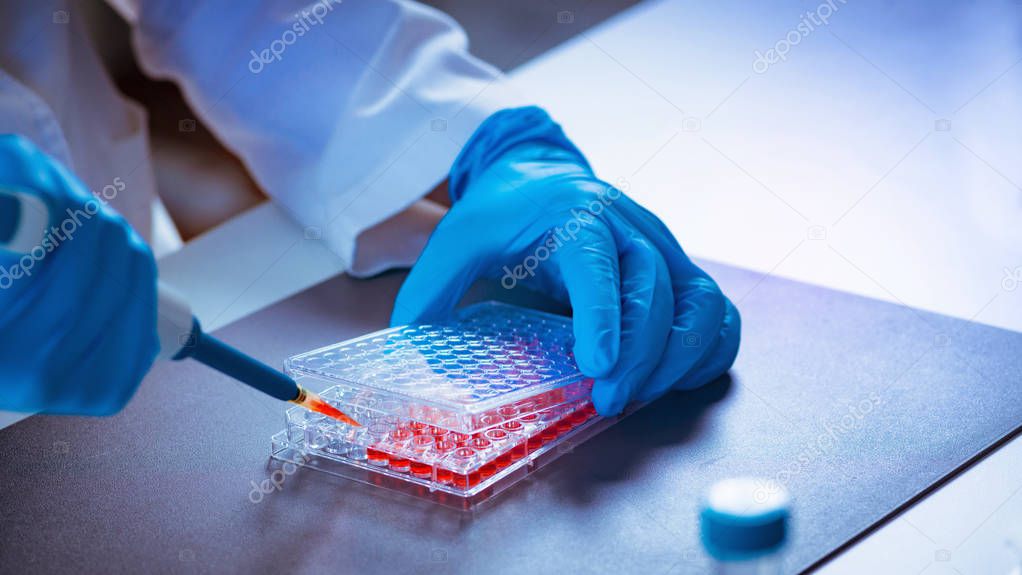  Female scientist researching samples in laboratory