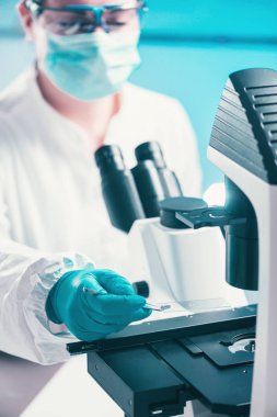 Petri dish, teftiş mikrobiyolog bakteri büyüme gözlemleyerek