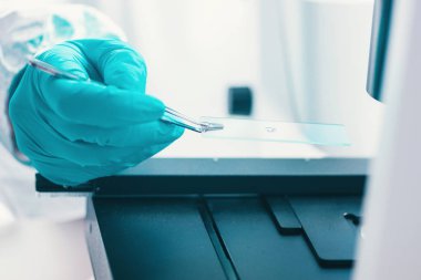 Petri dish, teftiş mikrobiyolog bakteri büyüme gözlemleyerek