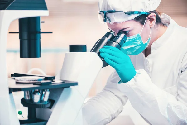 Microbiology Technician Working Bacteria Strains — Stock Photo, Image