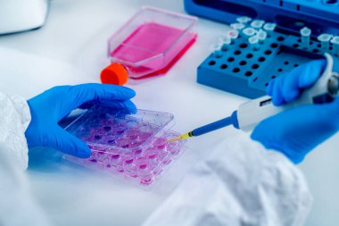 Corona Virüs Aşısı Araştırma Enstitüsü Laboratuvarı 'nda çalışan bir bilim adamı.