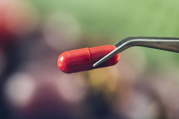 Resveratrol Doplňky Rozmazanými Hrozny Pozadí Makro Snímek Zaměřit Doplněk — Stock fotografie