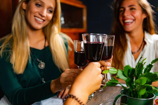 Tosty Czerwonego Wina Przyjaciółki Wznoszące Toast Czerwonym Winem Bawiące Się — Zdjęcie stockowe