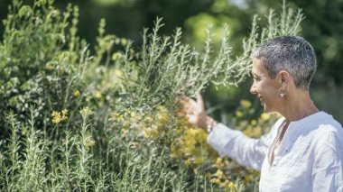 Minnettarlık - Doğal orta yaş modeli gülümsüyor ve elleriyle doğaya şükranlarını sunuyor. Doğa yoluyla iyileştirme - Enerji vermek ve almak.