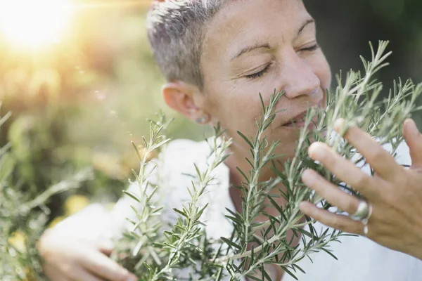 自然美中年の女性が優しくローズマリーの植物に触れ 目を閉じて夏に彼らの香りを楽しんでいます 背景に太陽を沈める — ストック写真