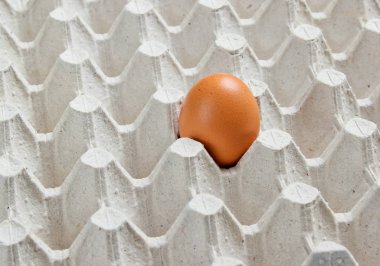 Tek yumurtalı tepsi, yakın plan..