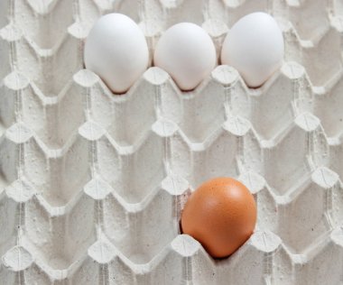 Yumurta tepsisi yaklaş..