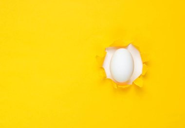 Sarı kağıt deliğinden geçen beyaz tavuk yumurtası. Minimalizm kavramı