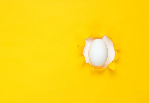 Sarı Kağıt Deliğinden Geçen Beyaz Tavuk Yumurtası Minimalizm Kavramı — Stok fotoğraf