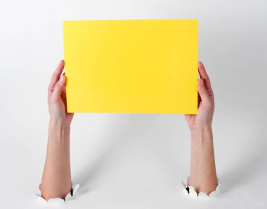 Beyaz arka plandaki yırtık deliklerden geçen sarı sayfa kağıtlarını tutan kadın eller. Yaratıcı sanat