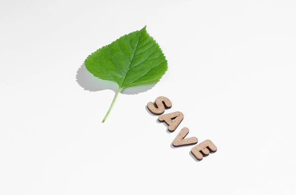 Planet Minimal Concept Green Leaf Word White Background — Stock Photo, Image