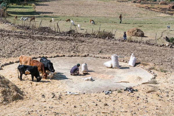 The places of Ethiopia — Stock Photo, Image