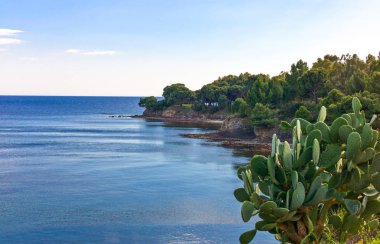  Cilento bölge