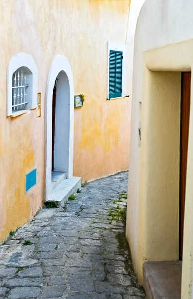 The island of Ischia — Stock Photo, Image