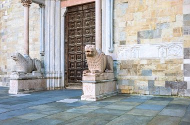 Güzellik ve Parma tarihçesi