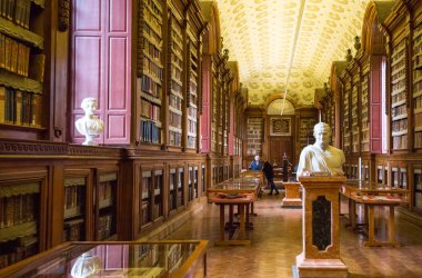 Güzellik ve Parma tarihçesi