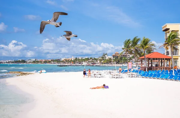 Tourist facilities and nature of Playa Del Carmen — Stock Photo, Image