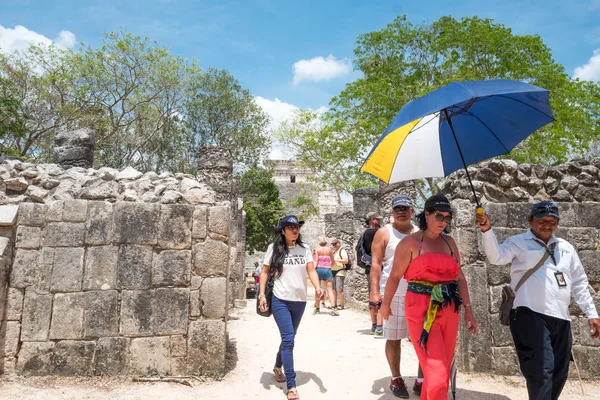 Археології та природи Yukatan півострова — стокове фото