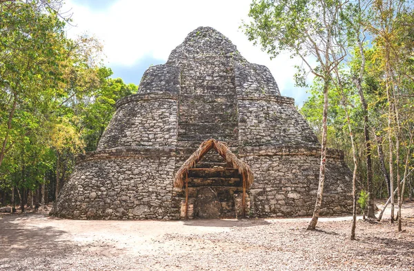 Arqueología y naturaleza de la península de Yukatán —  Fotos de Stock