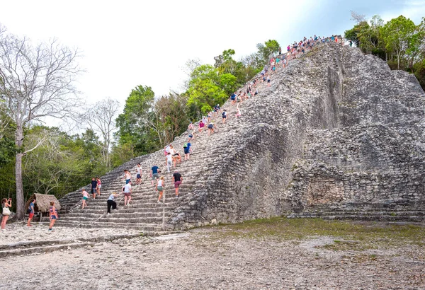 Arqueología y naturaleza de la península de Yukatán —  Fotos de Stock