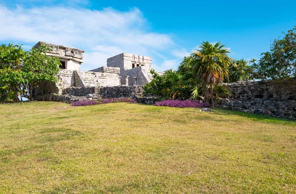 Archeologii i przyrody na półwyspie Yukatan — Zdjęcie stockowe