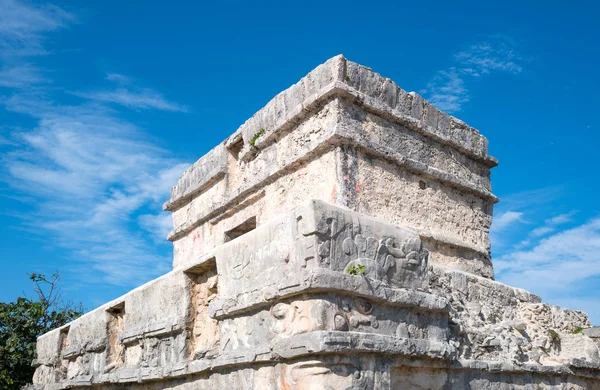 Arkeoloji ve doğa Yukatan Yarımadası — Stok fotoğraf