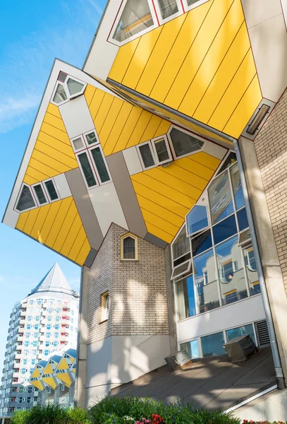 Mimarileri ve manzara Rotterdam