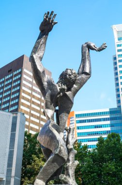 Mimarileri ve manzara Rotterdam