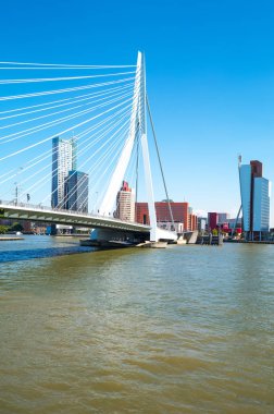 Mimarileri ve manzara Rotterdam