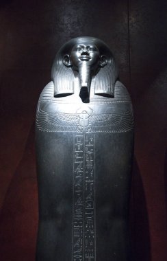 Geçmiş ve Torino'da sanat