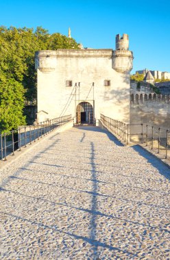 Mimarileri ve Avignon anıtları