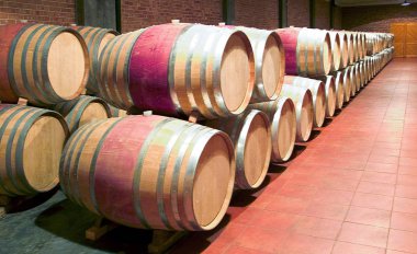 Gıda ve Langhe ve Monferrato alanda sanat