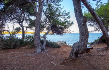 Bazı ünlü yerler Cote d'Azur