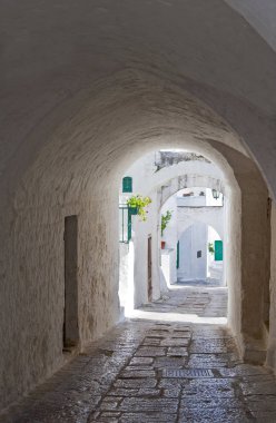 Ostuni, olive grove arasında beyaz bir köy