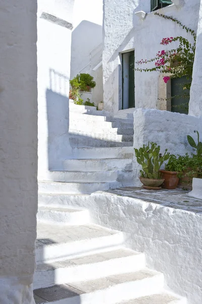Ostuni, a white village between the olive grove — Stock Photo, Image