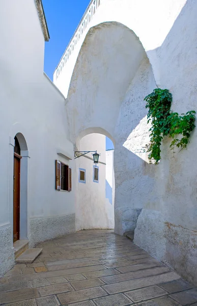 Ostuni, un pueblo blanco entre el olivar — Foto de Stock