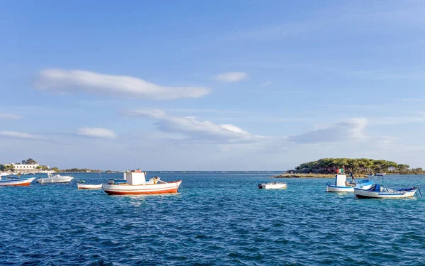 De visserij-activiteit in Portocesareo — Stockfoto
