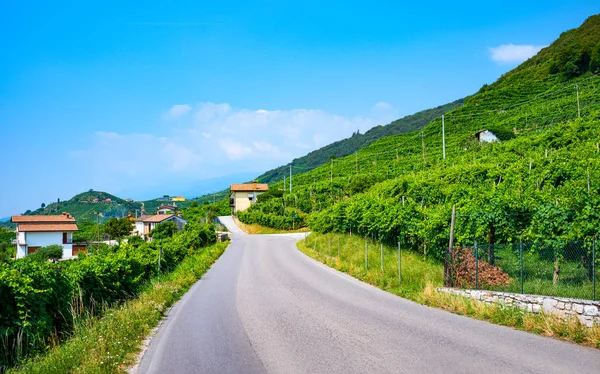 La tierra de Valdobbiaadene y Conegliano —  Fotos de Stock