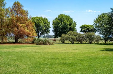 Arjantin, klasik mimari ve gelenek