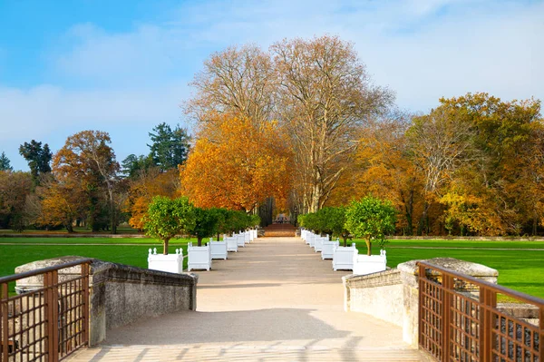 Chenonceaux Francja Jesienne Kolory Ogrodu Zamku Chenonceau — Zdjęcie stockowe