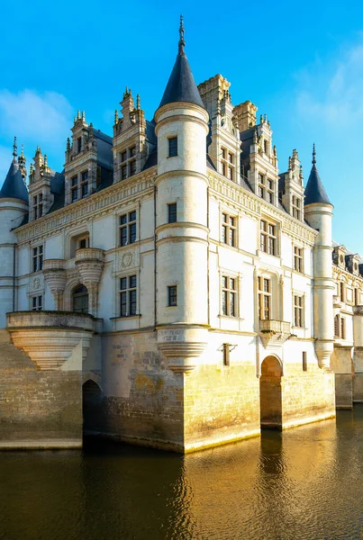 Chenonceaux France November 2018 Side View Chenonceau Castle Cher River — 스톡 사진