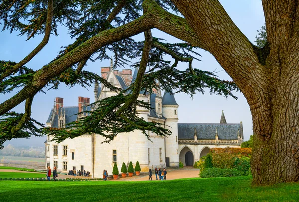 Amboise France November 20118 Royal Castle Amboise Seen Garden — стокове фото